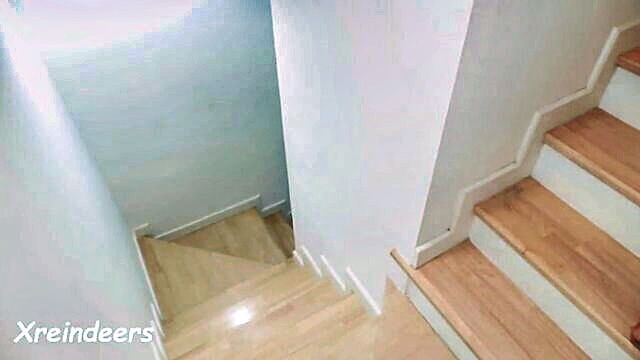 xreindeers - creampie in glasses kutie