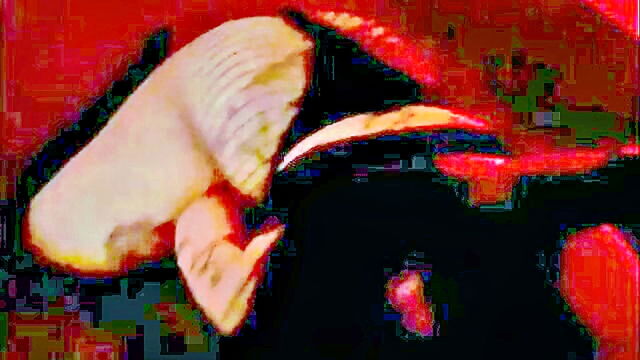 lilith - littlemisscuntcake lilith edged