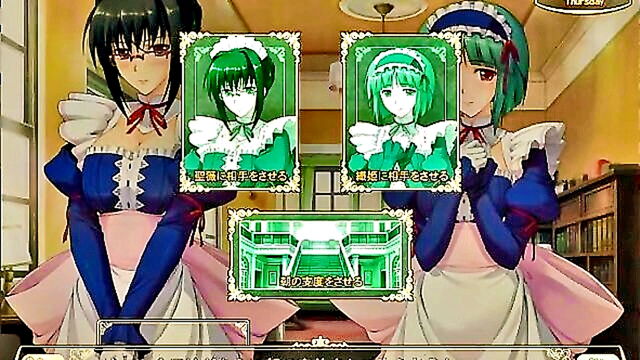 experience fuuki inchou seira 9s erotic adventure   hentai visual novel japanese : flehner