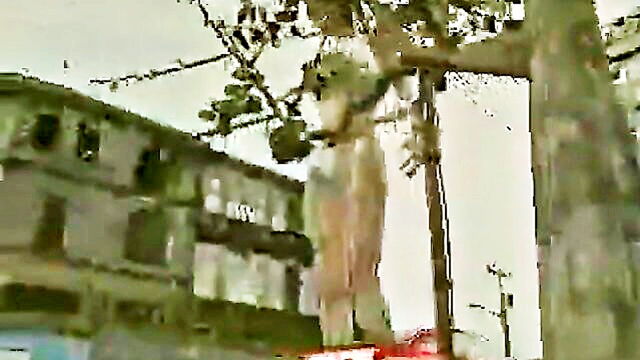 enjoy solo performance of mature giantess in classic animation   alva dibbert : alva_dibbert