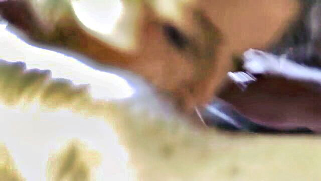 Mia Khalifa, Veronica Leal, Blake Blossom, CoCo Lovelock, Kate Dee, Mia Kay, Alyx Star, Eva Elfie, Mia Li, Pamela Rios, Blondie Fesser, Victoria J, Kelly Oliveira, Alura Jenson, Skylar Vox, Kira Thorn, Layla Love, Julia North - elderly and plump grandpa enjoys the smooth skin of a young athletes genital area in high definition video Bangbros Network