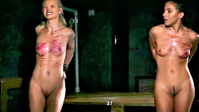 blonde, brunette, big tits - experience the best of amateur porn with stunning big tits babes in hardcore bdsm action