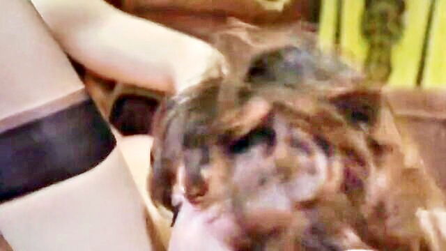 free porn, porn video, hd porn - experience my fantasy enjoy a free hd porn clip on xhamsters mobile xxx tube with bi sex and hd quality