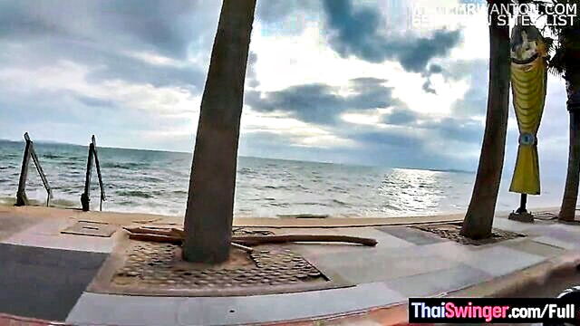 busty asian teen gives rough beach blowjob and gets fucked hard : Thai Swinger