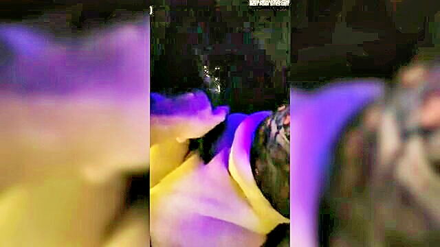 hd sex, porn movie, porn video - a mouth watering k blowjob and a thrilling dildo experience