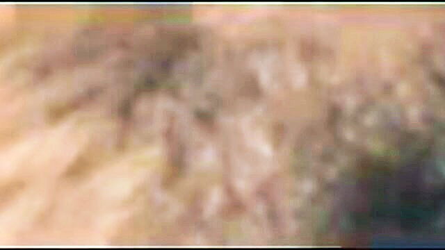 a steamy session of pussy to pussy action between a hot and horny couple : Aly