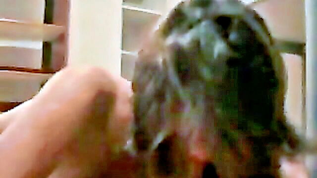 sex video, porn video, latina porn - enjoy free hd tube video of a gorgeous babe sucking a hard cock