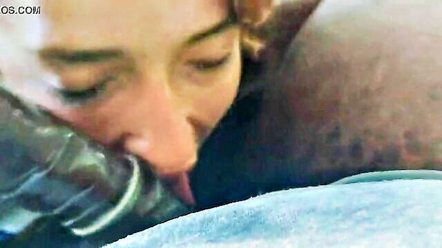 blowjob, dirty talk, interracial - interracial slutty cassie sucks cock and talks filthy in public