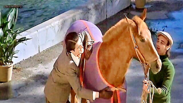 compilation, italian, parody - vintage italian compilation of hot cousins