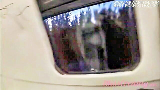 french, cfnm, amateur - a daring woman exposes and pleasures herself on a train in front of others labeled as misscreamy