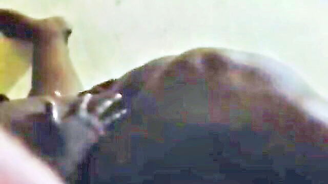 mom, bbw, ebony - kenyan bbw mom gets pounded doggystyle in steamy video