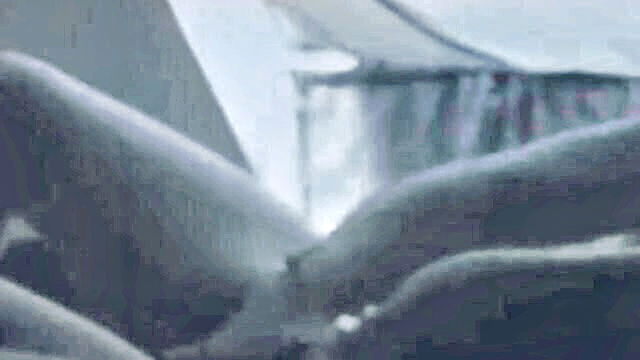 amateur dutch couple with big boobs gets a handjob and cumshot : xHamster Premium