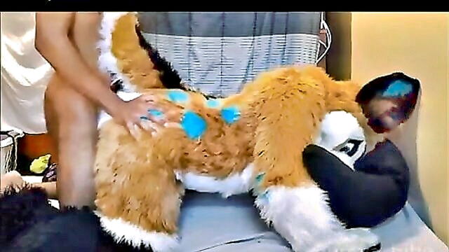 hairy, doggystyle, yiff - freyashibes furplay adventure with yiff and fursuit
