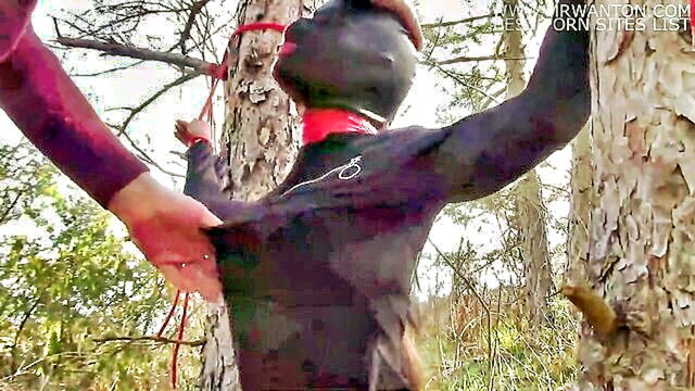 laura on heels gives a deepthroat to a bick cock while tied to a tree and masked in a black dress and high heels in a public setting : Laura On Heels