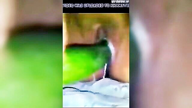 indian porn, porn video, sex video - enjoy the erotic journey of thabi na fhare da in this free indian porn video