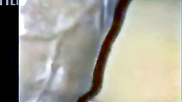 bbc, blonde, american - interracial couples amateur video with interracial and wife sharing