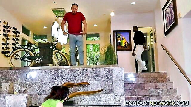Jane Wilde - jane wilde enjoys a threesome with a well endowed black man in this explicit hd video Dogfart Network