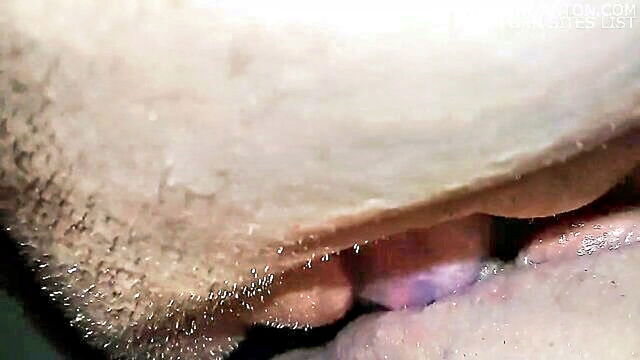 masturbation, latina, amateur - homemade video of brazilian couple shaving and licking their girlfriends vagina