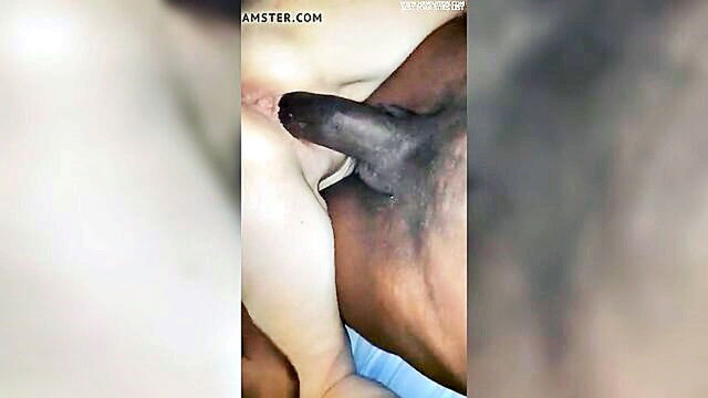 Black Guy - black wife offers sex to another man while her husband is away