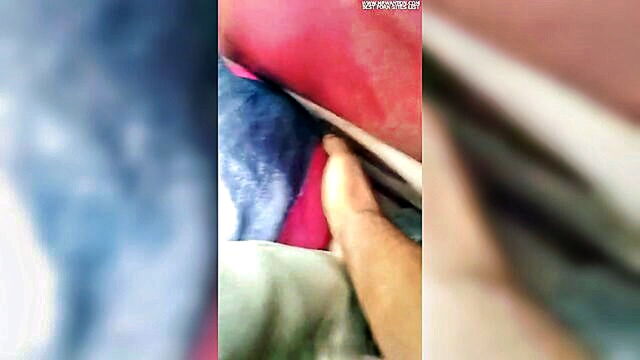 porn video, sex video, hd porn - free bus ride turns into steamy sex session in xxx hd video