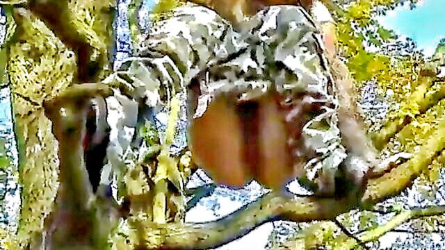 Camvivian - outdoor surprise brunette babe peeing in the woods Camvivian