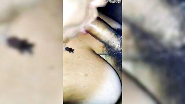 amateur, pompino amatoriale, blowjob - amateur girlfriend gives a blowjob in hd