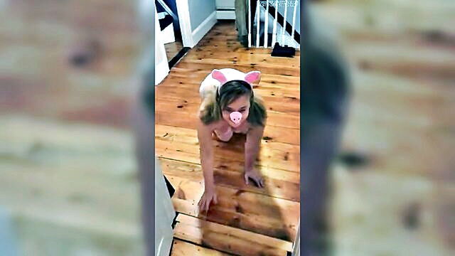 chubby piggys hot anal play   hd porn video   youporn