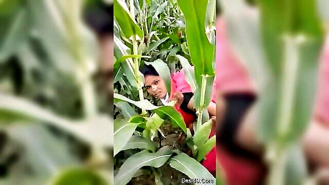 wild indian couples outdoor sex leads to a steamy orgy