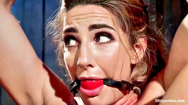 hottest tag team chanel preston and savannah fox in bdsm xxx videos on bdsmxtube : Whipped Ass