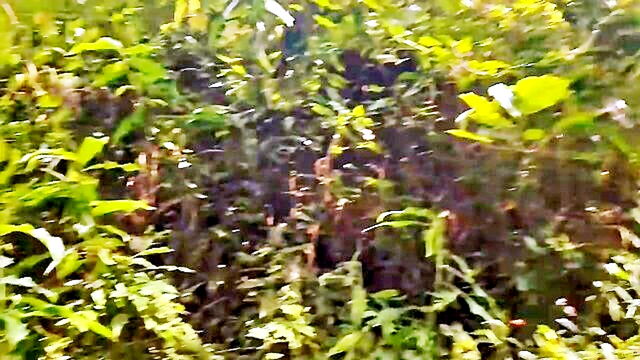 european babe and african black girl break rules in nature : Morty123bbc