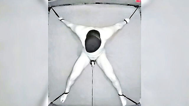 xxxbp Testicles Electrostimulation Procedure 1+HOUR : Institutionx