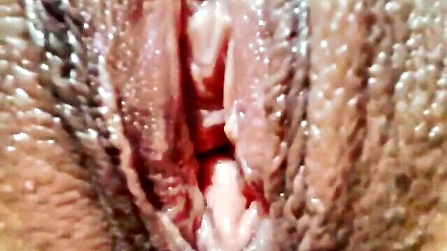 close, my pussy, close up - intimate view of my private area