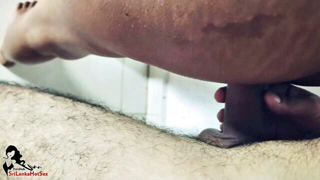 SriLankaHotSex - small universe of pleasure big tits and hot sri lankan action