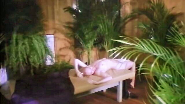 curvy women having sex with hairy penis in old porn movie : Swedish Erotica