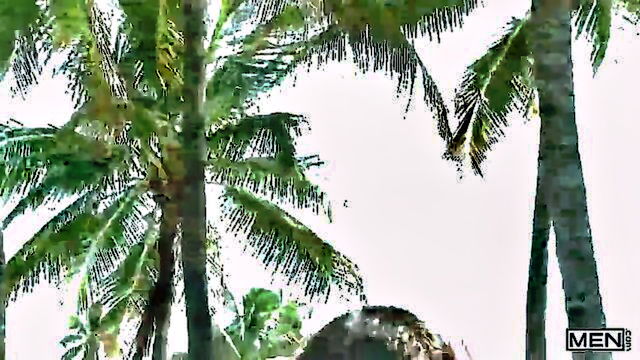 blowjob, beach, big ass - see how jimmy and troy have a great time at the beach and end up having sex