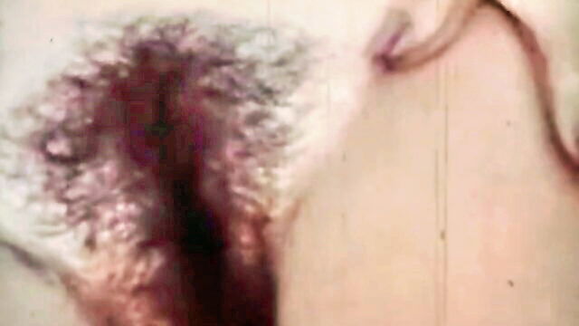 princess romana facial : Collection Film