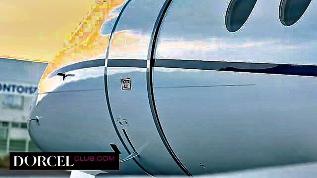 three individuals engaging in sexual activity aboard a private aircraft including cunnilingus : DorcelClub