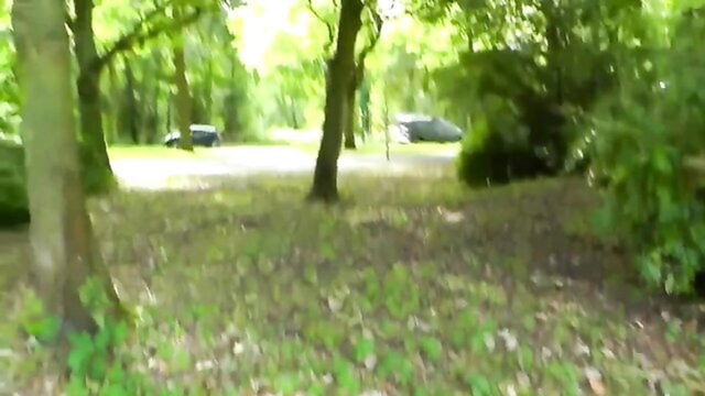 big dick, amateur, blowjob - wild outdoor blowjob