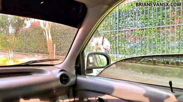 Silvana Lee - silvana lee big ass Brian Evansx