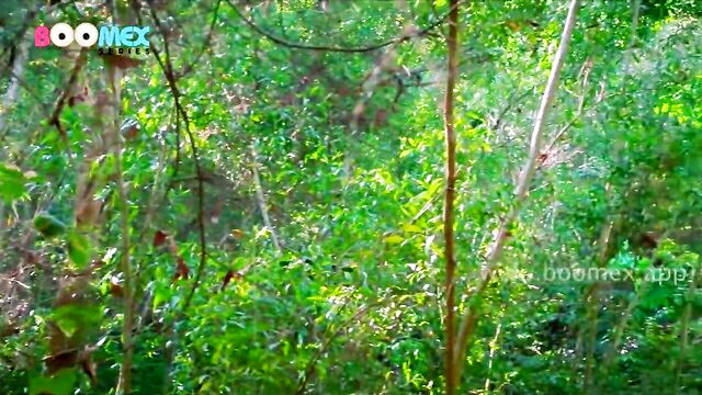 curvy, web series, bigass - abhirami malayalam video