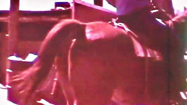 8mm porn video : Danish Films International