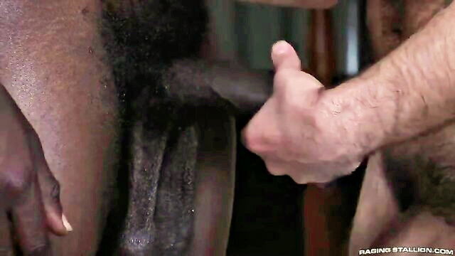 big dick, blowjob, ebony - papi suave big cock