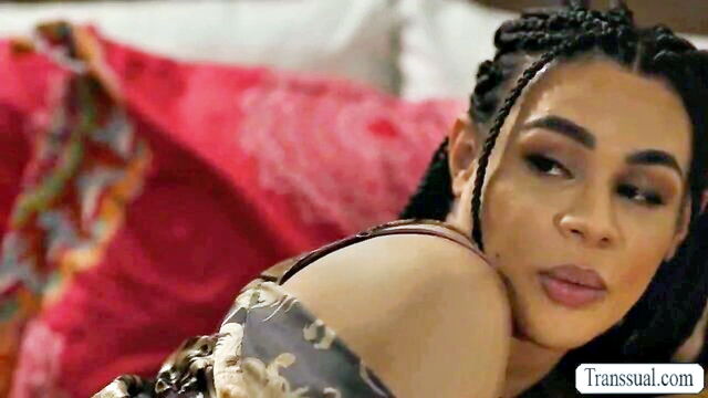 shemale sex, shemale blowjob, tranny sex - shemale stepsis gets drilled