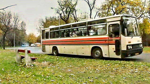 big dick, car, babes - bus babes sex video
