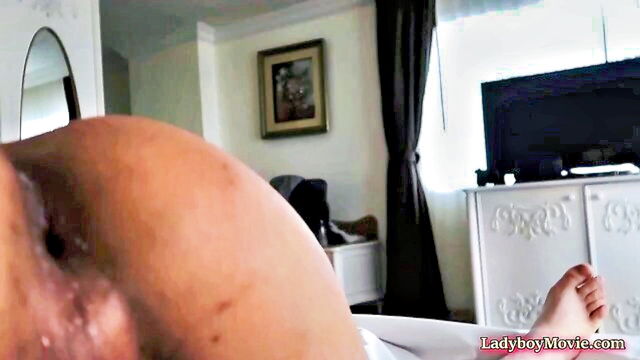 ladyboy, bareback, amateur - tranny rides dick