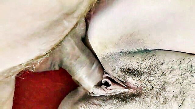 creampie close up milf