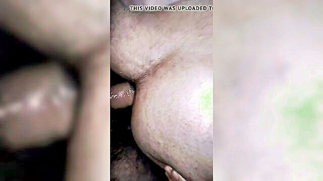 ass ass, ass, ass sex - unshaved rear sexual activity