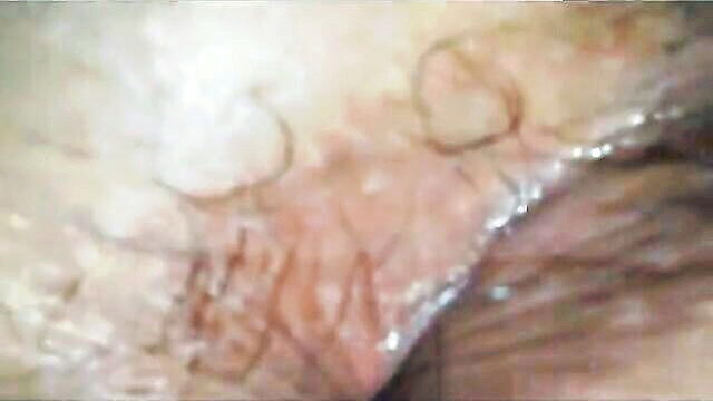 ass pussy, ass ass, ass - sensual latina with plump body showcases her wet and hairy pussy and round butt
