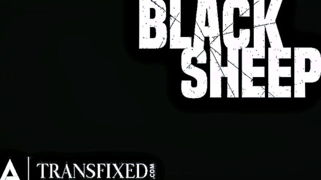 small tits, hardcore, shemales - izzy wilde anal scene