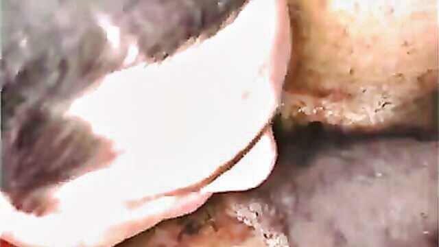 black, amateur, stud - amateur stud action